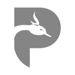Peacock Financial